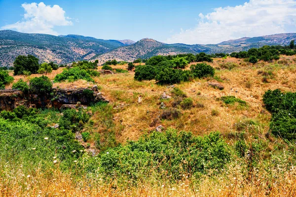 Holy Land of Israel. View at Golan heights. High quality photo