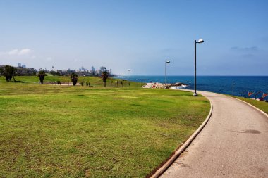 Holy Land of Israel. Jaffa, Midron Yaffo Park. High quality photo