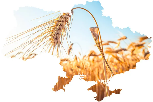 Konzeptionelles Bild Der Landkarte Der Ukraine Globale Nahrungsmittelkrise Aufgrund Der — Stockfoto