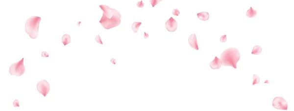 Sakura spring blossom on long banner. Flower petal flying background. Beauty Spa product frame. Valentine romantic card. Pink rose composition. Light delicate pastel design. Vector illustration — Stockvector