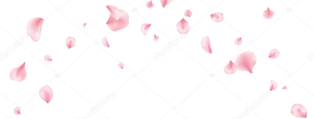 Sakura spring blossom on long banner. Flower petal flying background. Beauty Spa product frame. Valentine romantic card. Pink rose composition. Light delicate pastel design. Vector illustration