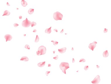 Flower petal flying background. Sakura spring blossom. Pink rose composition. Beauty Spa product frame. Valentine romantic card. Light delicate pastel design. Vector illustration clipart