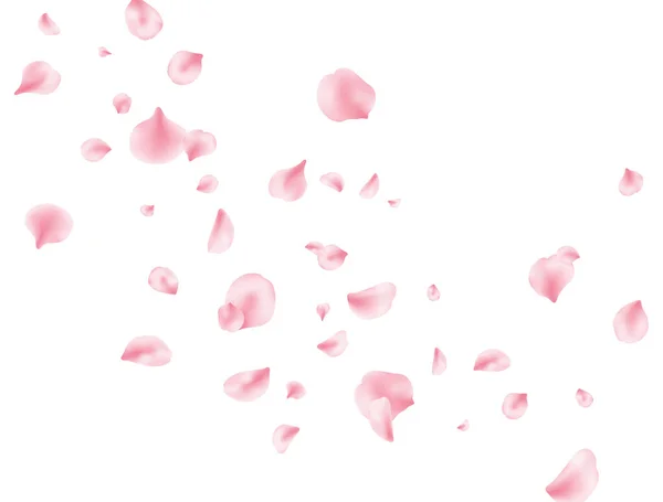 Flower petal flying background. Sakura spring blossom. Pink rose composition. Beauty Spa product frame. Valentine romantic card. Light delicate pastel design. Vector illustration —  Vetores de Stock