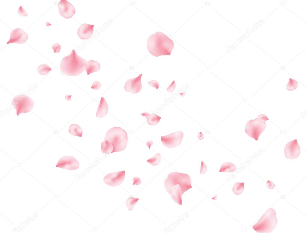 Flower petal flying background. Sakura spring blossom. Pink rose composition. Beauty Spa product frame. Valentine romantic card. Light delicate pastel design. Vector illustration