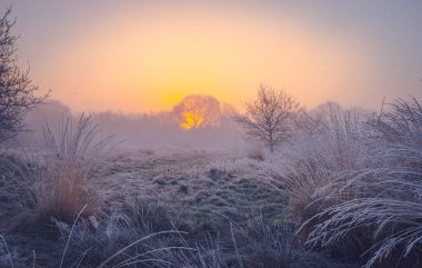 Gündoğumunda Birleşik Krallık 'ta kışın manzarası