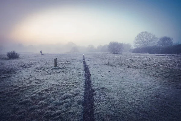 日の出に英国の冬の風景 ストック写真