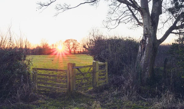 日の出に英国の冬の風景 ロイヤリティフリーのストック画像