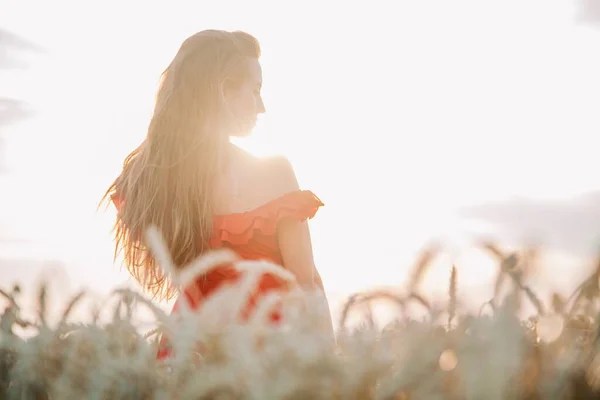 鮮やかな赤いドレスと帽子を着た若い ほっそりしたセクシーな女の子が日没時に小麦のフィールドに立っています 高品質の写真 — ストック写真