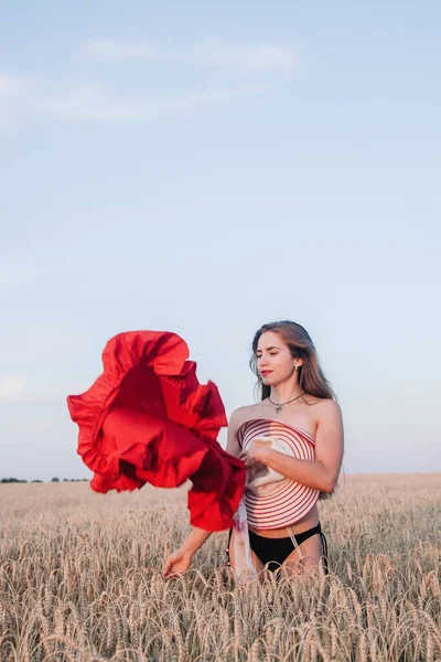 A young, slender girl with loose hair in a field of wheat hides behind a hat and tosses a red dress. High quality photo