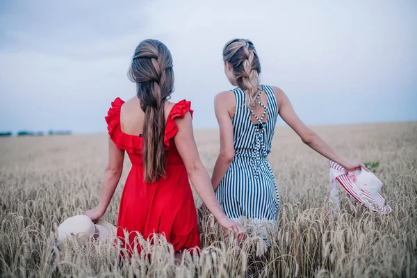 Дві Молоді Дівчата Закохані Один Одного Нетрадиційної Орієнтації Галузі Пшениці Стокове Зображення