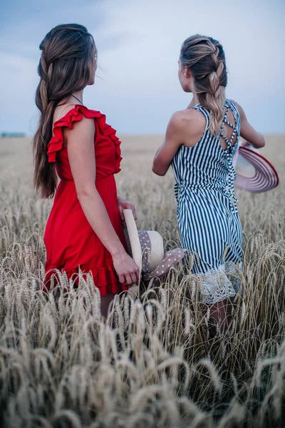 Дві Молоді Дівчата Закохані Один Одного Нетрадиційної Орієнтації Галузі Пшениці — стокове фото