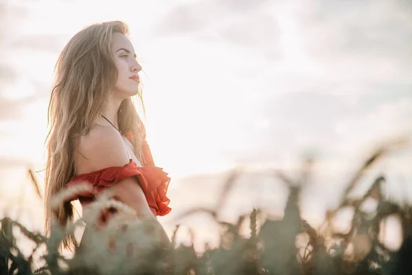 鮮やかな赤いドレスと帽子を着た若い ほっそりしたセクシーな女の子が日没時に小麦のフィールドに立っています 高品質の写真 — ストック写真
