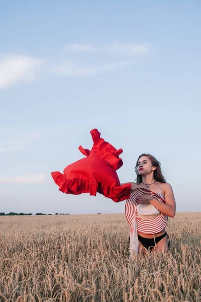 A young, slender girl with loose hair in a field of wheat hides behind a hat and tosses a red dress. High quality photo