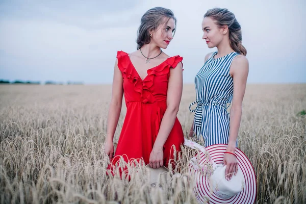 Дві Молоді Дівчата Закохані Один Одного Нетрадиційної Орієнтації Галузі Пшениці Ліцензійні Стокові Фото