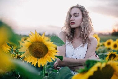 Tişörtü bol, ince saçlı genç bir kız gün batımında ayçiçeği tarlasında duruyor. Yüksek kalite fotoğraf