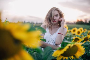 Tişörtü bol, ince saçlı genç bir kız gün batımında ayçiçeği tarlasında duruyor. Yüksek kalite fotoğraf