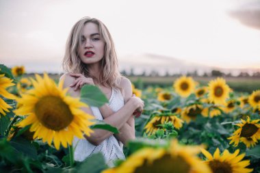 Tişörtü bol, ince saçlı genç bir kız gün batımında ayçiçeği tarlasında duruyor. Yüksek kalite fotoğraf