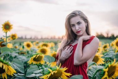 Genç, ince, gevşek saçlı bir kız, ayçiçeği tarlasında kırmızı bir elbiseyle kaplıdır. Yüksek kalite fotoğraf
