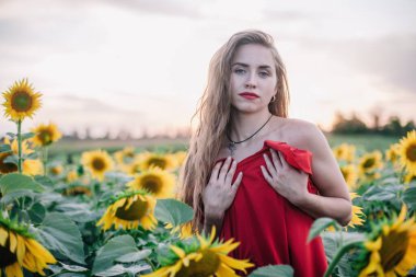Genç, ince, gevşek saçlı bir kız, ayçiçeği tarlasında kırmızı bir elbiseyle kaplıdır. Yüksek kalite fotoğraf