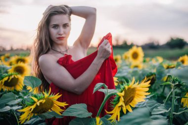 Genç, ince, gevşek saçlı bir kız, ayçiçeği tarlasında kırmızı bir elbiseyle kaplıdır. Yüksek kalite fotoğraf