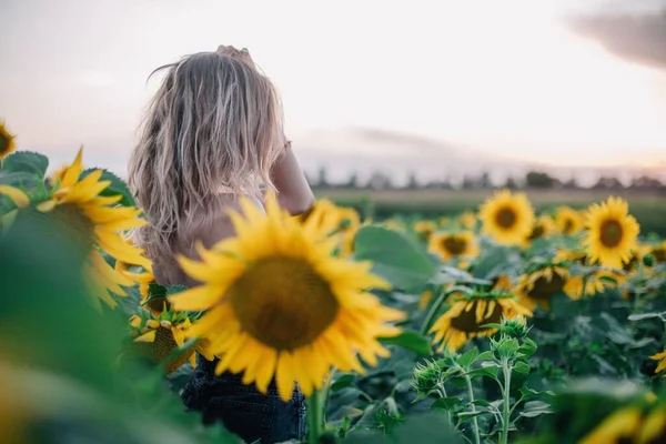 Joven Delgada Con Cabello Suelto Campo Girasoles Atardecer Foto Alta —  Fotos de Stock