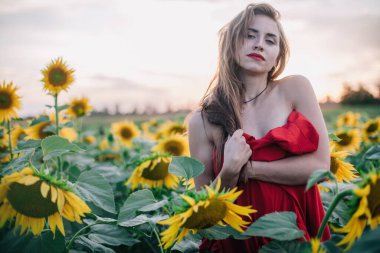 Genç, ince, gevşek saçlı bir kız, ayçiçeği tarlasında kırmızı bir elbiseyle kaplıdır. Yüksek kalite fotoğraf