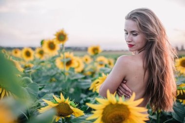Genç, çıplak, ince saçlı bir kız gün batımında vücudunu ayçiçekleriyle kaplıyor. Yüksek kalite fotoğraf