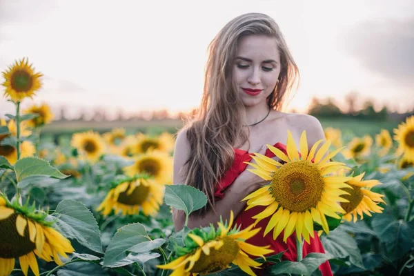Genç, ince, gevşek saçlı bir kız, ayçiçeği tarlasında kırmızı bir elbiseyle kaplıdır. Yüksek kalite fotoğraf