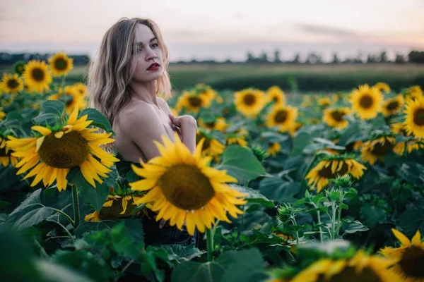 Joven Delgada Con Cabello Suelto Campo Girasoles Atardecer Foto Alta — Foto de Stock