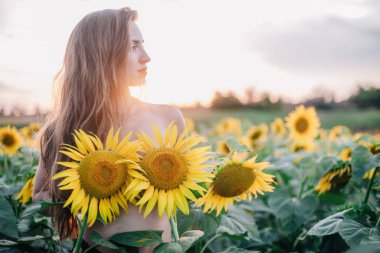 Genç, çıplak, ince saçlı bir kız gün batımında vücudunu ayçiçekleriyle kaplıyor. Yüksek kalite fotoğraf