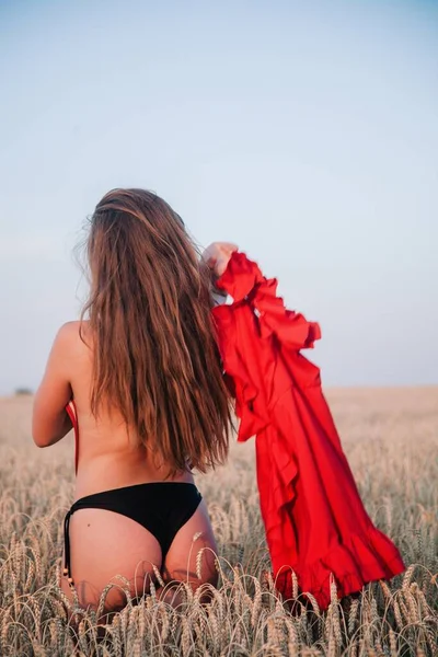 ほっそりとした 彼女の手の中に赤いドレスで小麦の分野で黒いパンティーに緩い髪で 高品質の写真 — ストック写真