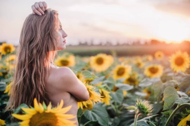 Genç, çıplak, ince saçlı bir kız gün batımında vücudunu ayçiçekleriyle kaplıyor. Yüksek kalite fotoğraf