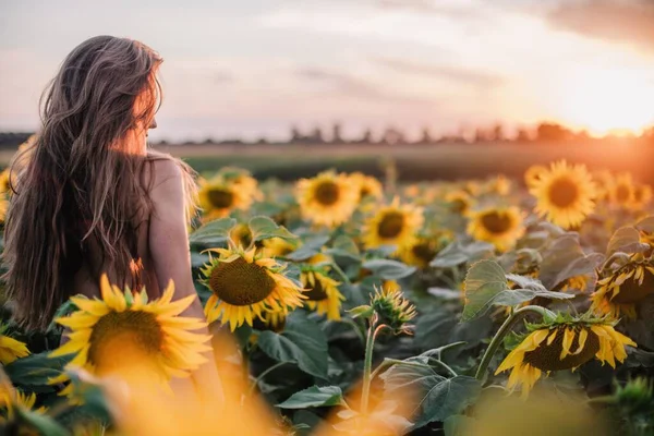 Genç Çıplak Ince Saçlı Bir Kız Gün Batımında Vücudunu Ayçiçekleriyle — Stok fotoğraf