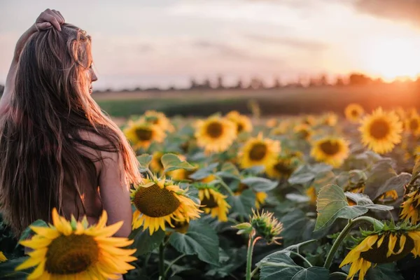 Genç Çıplak Ince Saçlı Bir Kız Gün Batımında Vücudunu Ayçiçekleriyle — Stok fotoğraf