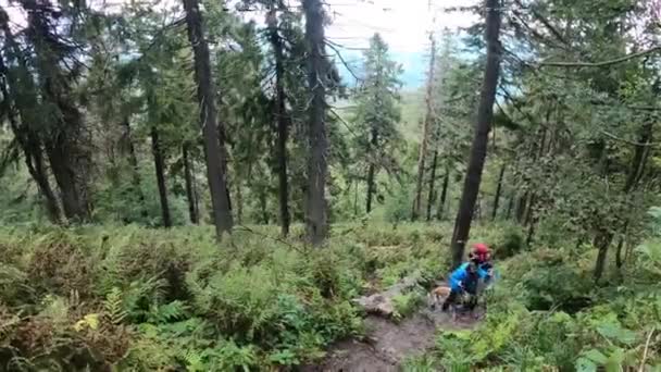 Ένα Νεαρό Ζευγάρι Σκαρφαλώνει Φθινόπωρο Μέσα Από Δάσος Ένα Ορεινό — Αρχείο Βίντεο