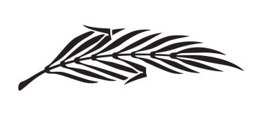 Cenaze yaprağının siyah silueti. Beyaz arkaplanda izole.