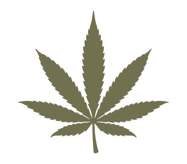 Gerçekçi marihuana yaprağı. Beyaz arkaplanda izole.