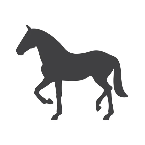 馬のベクトルシルエット 白地に隔離された — ストックベクタ
