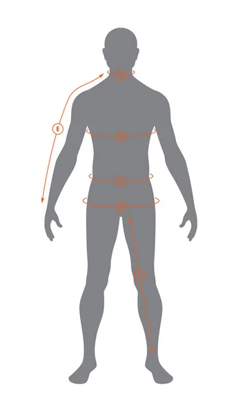 Kıyafet Boyutlarını Ölçmek Için Vektör Siluet Erkek Vücut Anatomisi Beyaz — Stok Vektör