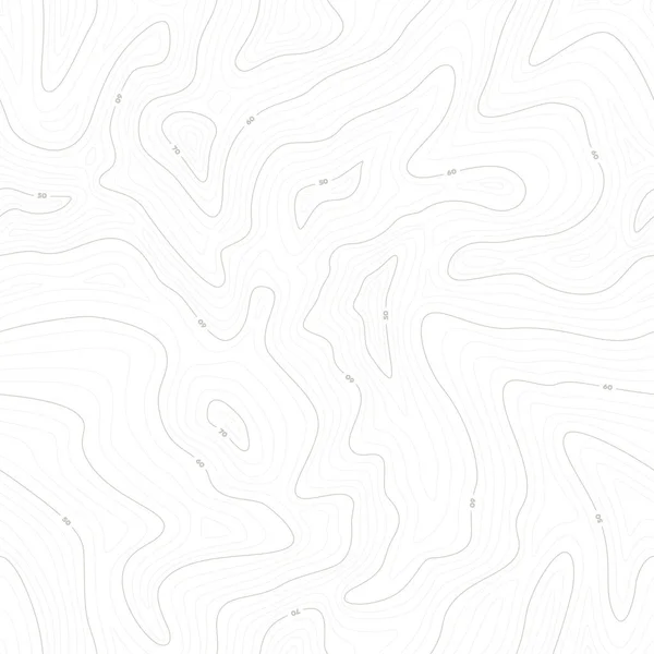 Carte Topographique Vectorielle Sans Couture Avec Ligne Contour Izoline Isolé — Image vectorielle