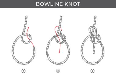 Bowline düğümü atmak için basit vektör talimatları. Üç adım. Beyaz arkaplanda izole.
