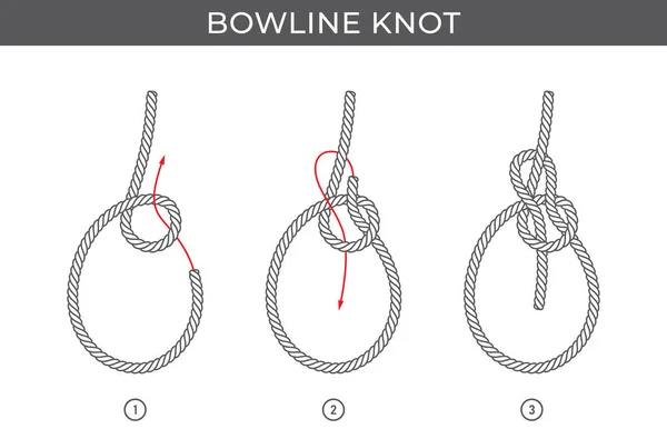 Istruzioni Semplici Vettoriali Legare Nodo Bowline Tre Passi Isolato Sfondo — Vettoriale Stock