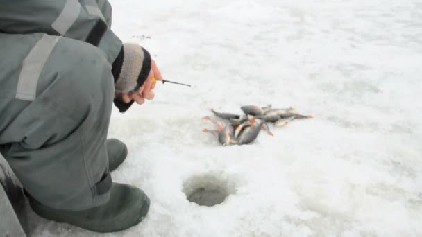 Pesca no gelo. — Vídeo de Stock