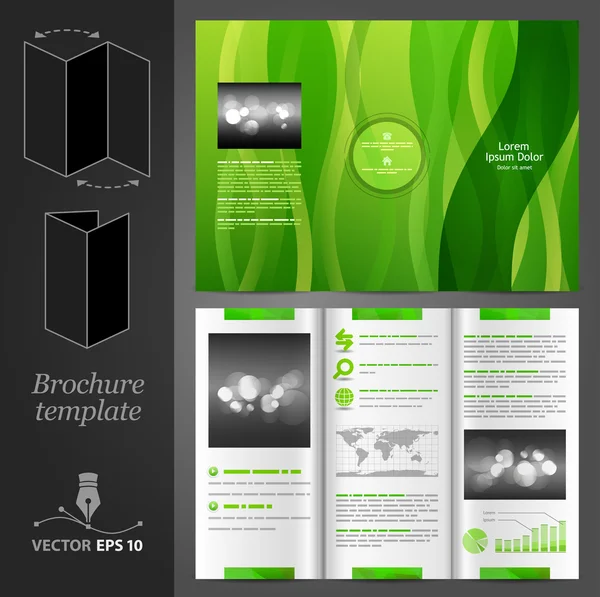 Green brochure template design with floral elements Stock Vector Image