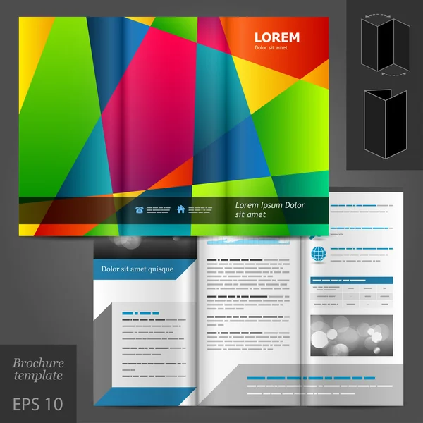 Brochure template design with color elements — Stock Vector