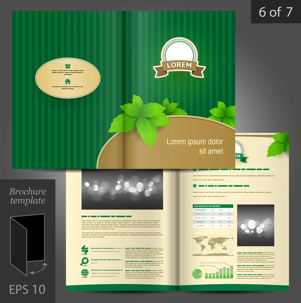 Diseño de plantilla de folleto floral con hojas verdes — Vector de stock