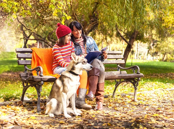 Parkta Güzel Sonbahar Günü — Stok fotoğraf