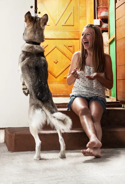 Adolescente menina alimentando cão — Fotografia de Stock