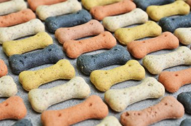 köpek kemik arka plan, aperatif, beslenme gıda lezzetleri