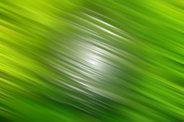 arka plan çizilmiş yansıtacak